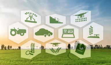 借鉴国际经验 加快我国智慧农业发展